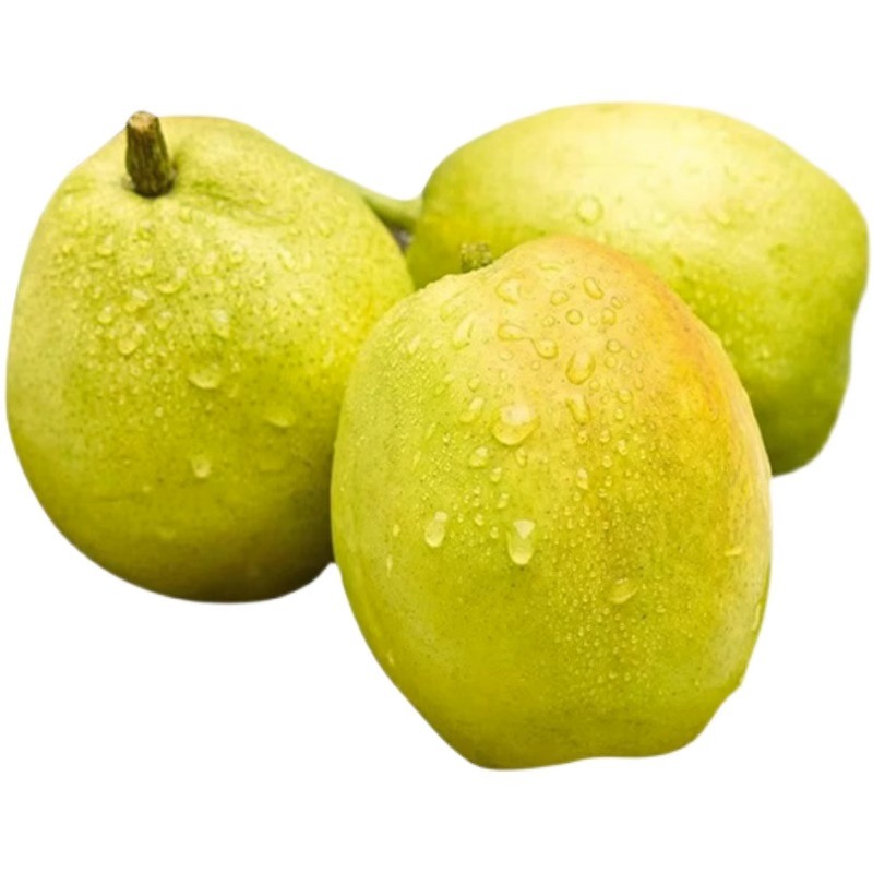 春季養(yǎng)生注意少用阿膠類補(bǔ)品早春