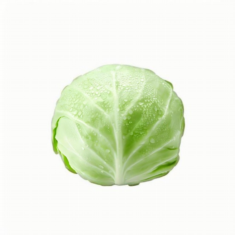 春分節(jié)氣如何養(yǎng)生 春分養(yǎng)生的秘訣